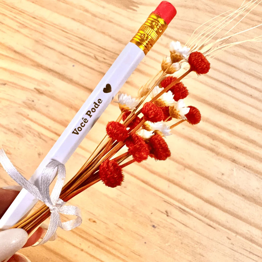 Kit Lápis Duplinha Perfeita